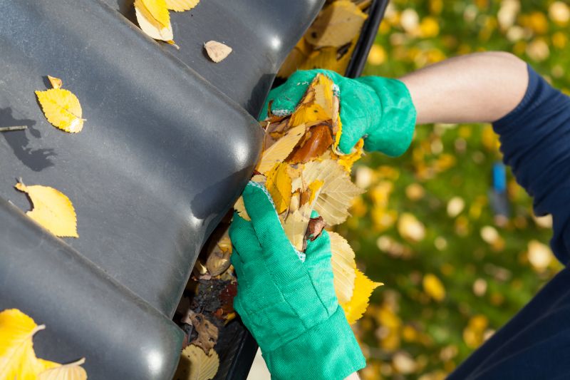 Gutter Maintenance in Fredericksburg, VA