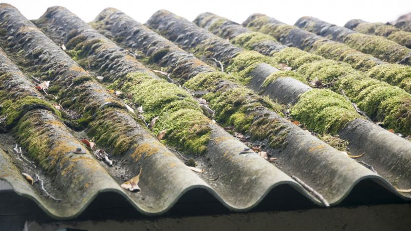 Roof Algae Removal in Vancouver, WA