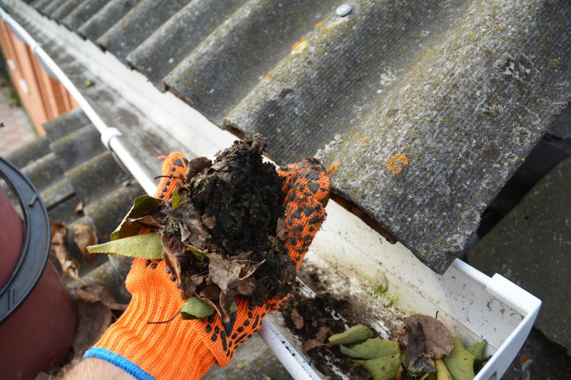 Commercial Downspout Cleaning in Denver, CO