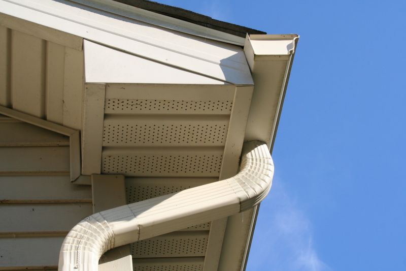 Downspout Blockage Removal in Bergen County, NJ