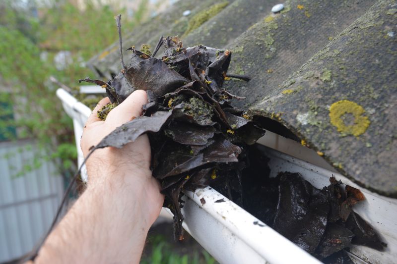 Downspout Cleaning in Boulder, CO