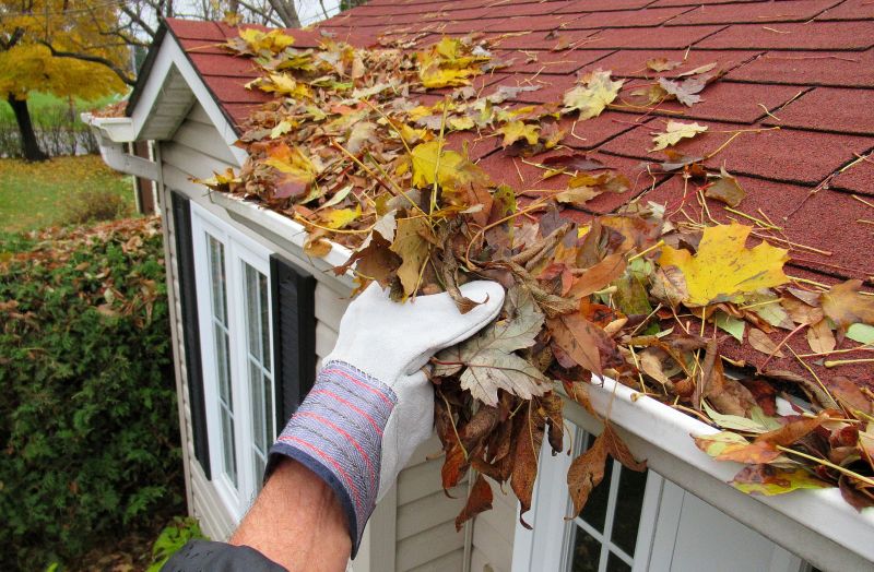 Gutter Leaf Clearing in Pittsburgh, PA