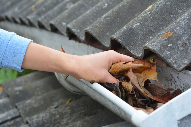 Gutter Leaf Clearing in Baltimore, MD