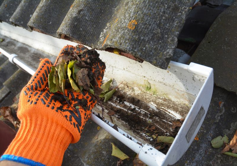 Gutter Leaf Clearing in Frederick, MD