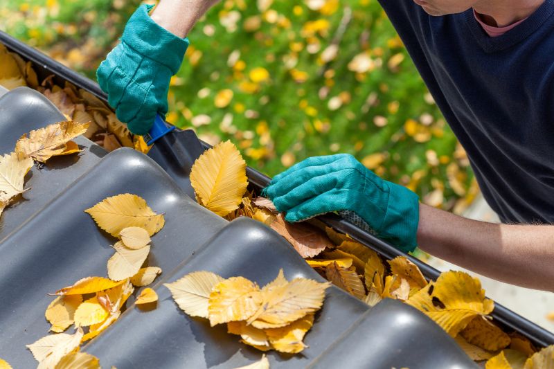 Gutter Leaves Removal in Frederick, MD