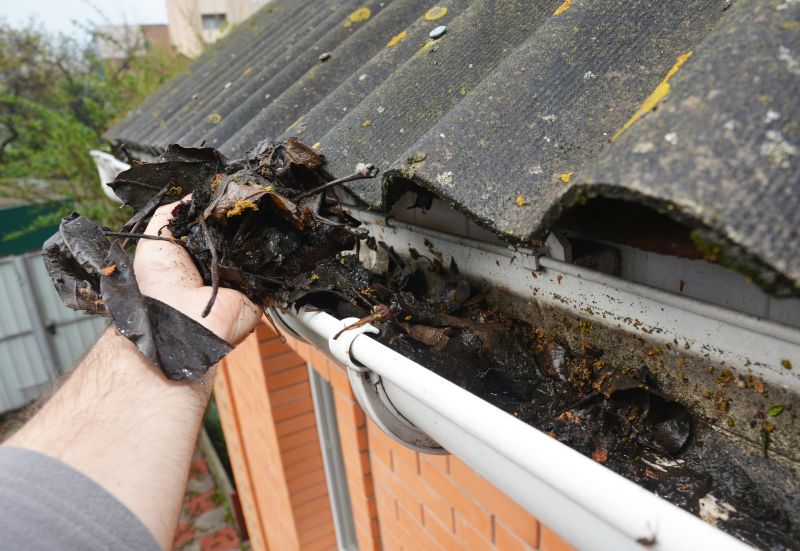 Gutter Leaves Removal in Arvada, CO
