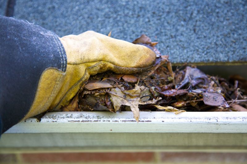 Gutter Pine Needle Removal in Annapolis, MD