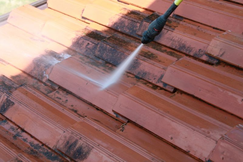 Roof Mildew Cleaning in Vancouver, WA